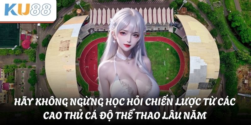 Hãy không ngừng học hỏi chiến lược từ các cao thủ cá độ thể thao lâu năm