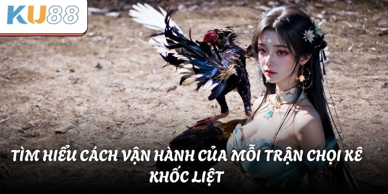 Tìm hiểu cách vận hành của mỗi trận chọi kê khốc liệt